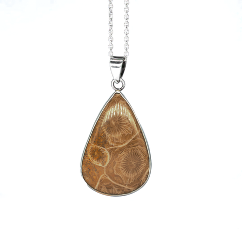 Fossil coral stone  Pure Silver talisman